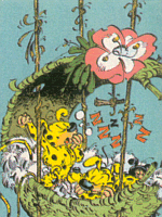 Die Marsupilami-Familie