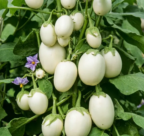 Ein Ostereierbaum mit reifen Früchten